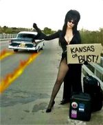 Watch The Elvira Show 1channel