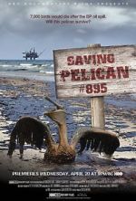 Watch Saving Pelican 895 (Short 2011) 1channel