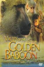 Watch National Geographic Golden Baboons 1channel