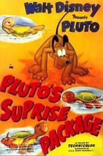 Watch Pluto\'s Surprise Package 1channel