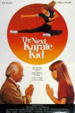 Watch The Next Karate Kid 1channel