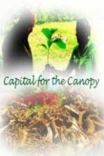 Watch Capital for the Canopy 1channel