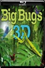 Watch Big Bugs in 3D 1channel