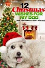 Watch 12 Christmas Wishes For My Dog 1channel