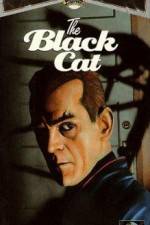 Watch The Black Cat 1channel