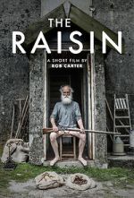 Watch The Raisin (Short 2017) 1channel