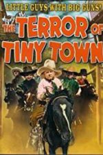 Watch The Terror of Tiny Town 1channel