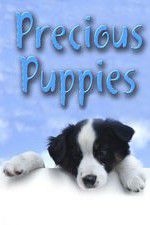 Watch Precious Puppies 1channel
