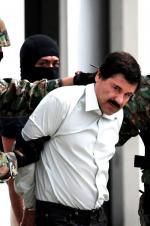 Watch The Rise and Fall of El Chapo 1channel