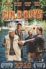 Watch The Wild Guys 1channel