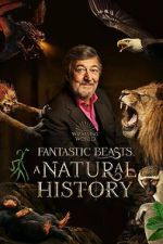 Watch Fantastic Beasts: A Natural History 1channel