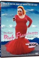 Watch Pink Flamingos 1channel