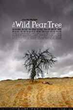 Watch The Wild Pear Tree 1channel