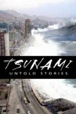 Watch Tsunami: Untold Stories 1channel