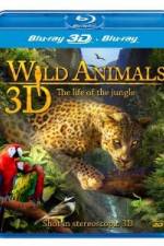 Watch Wild Animals - The Life of the Jungle 3D 1channel