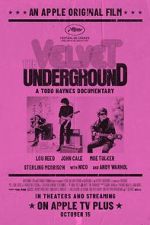 Watch The Velvet Underground 1channel