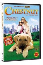 Watch Chestnut - Hero of Central Park 1channel