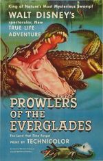 Watch Prowlers of the Everglades (Short 1953) 1channel