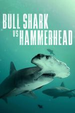 Watch Bull Shark vs Hammerhead 1channel