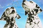 Watch 101 Dalmatians Sing Along 1channel