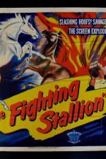 Watch The Fighting Stallion 1channel