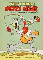 Watch Donald\'s Ostrich (Short 1937) 1channel