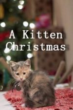 Watch A Kitten Christmas 1channel