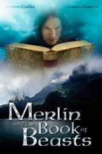 Watch Merlin and the Book of Beasts 1channel