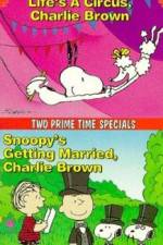 Watch Snoopy's Getting Married Charlie Brown 1channel