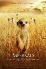 Watch The Meerkats 1channel
