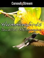 Watch Hummingbirds Jewelled Messengers 1channel