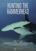 Watch Hunting the Hammerhead 1channel