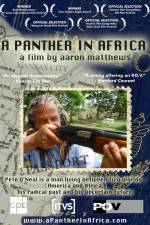 Watch A Panther in Africa 1channel