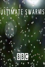 Watch Ultimate Swarms 1channel