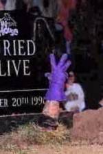 Watch WWF Buried Alive In Your House 1channel