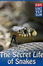 Watch The Secret Life of Snakes 1channel