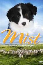 Watch Mist: The Tale of a Sheepdog Puppy 1channel