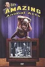 Watch Ed's Amazing Animal Acts 1channel