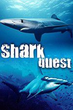 Watch Shark Quest 1channel