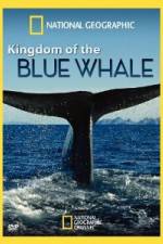 Watch National Geographic Kingdom of Blue Whale 1channel