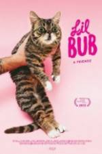 Watch Lil Bub & Friendz 1channel