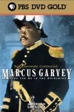 Watch Marcus Garvey: Look for Me in the Whirlwind 1channel