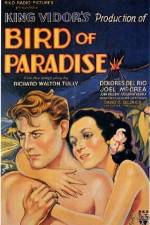Watch Bird of Paradise 1channel