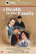 Watch A Death in the Family 1channel