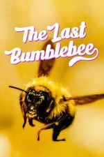 Watch The Last Bumblebee 1channel