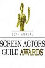 Watch The 20th Annual Screen Actors Guild Awards 1channel