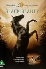 Watch Black Beauty 1channel