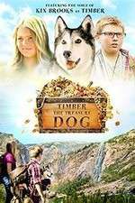 Watch Timber the Treasure Dog 1channel