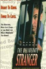 Watch The Deliberate Stranger 1channel