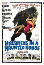 Watch Hillbillys in a Haunted House 1channel